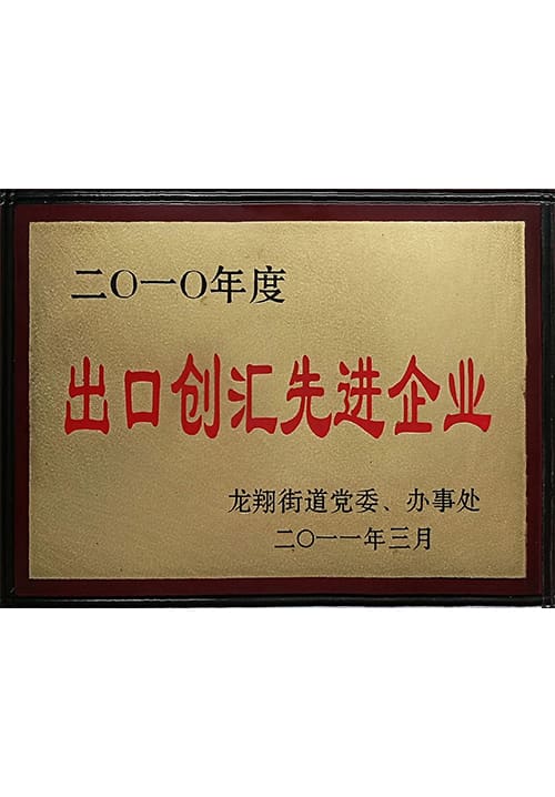 先進的な外貨獲得企業